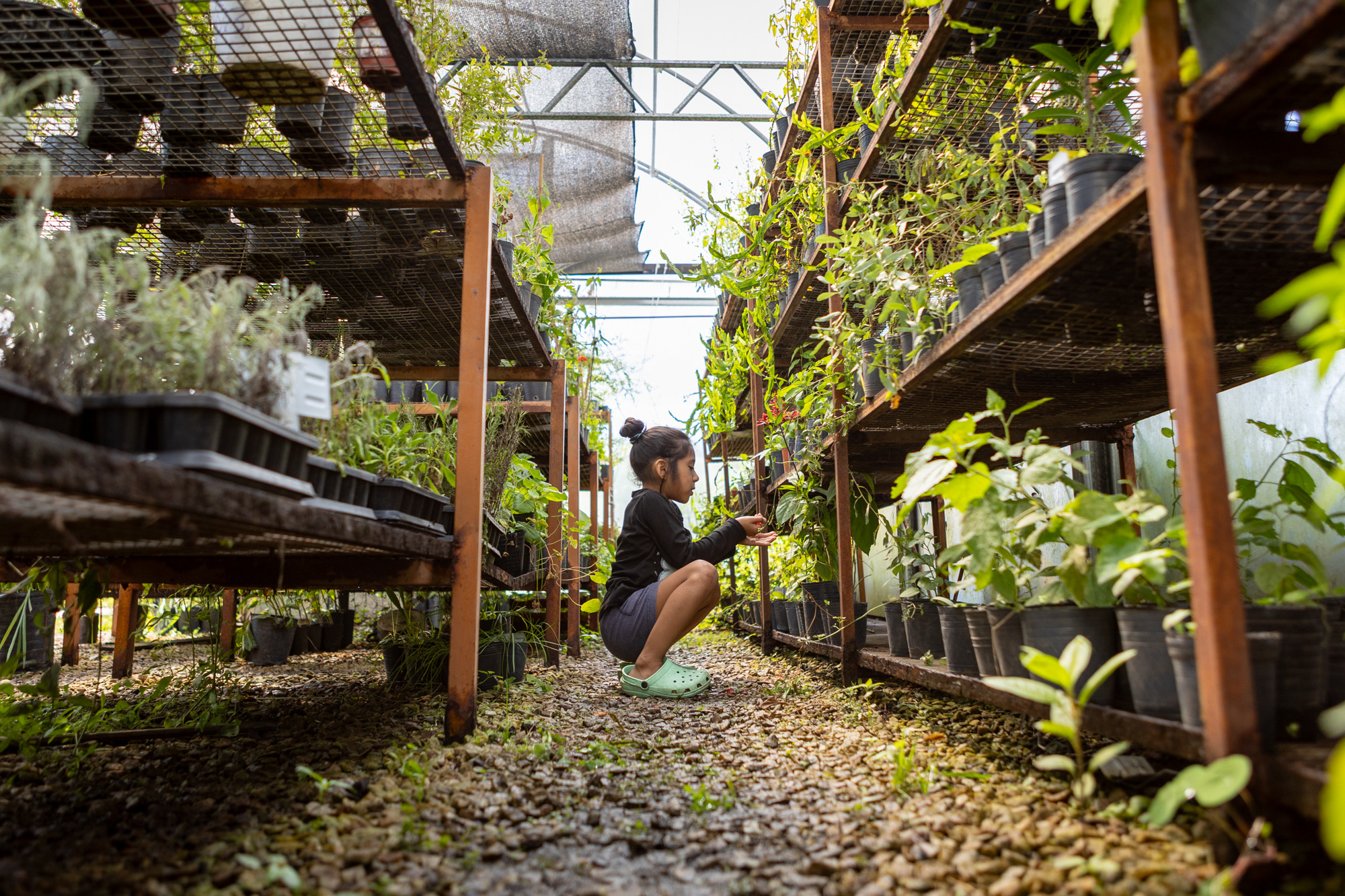 Yound girl looking at plants